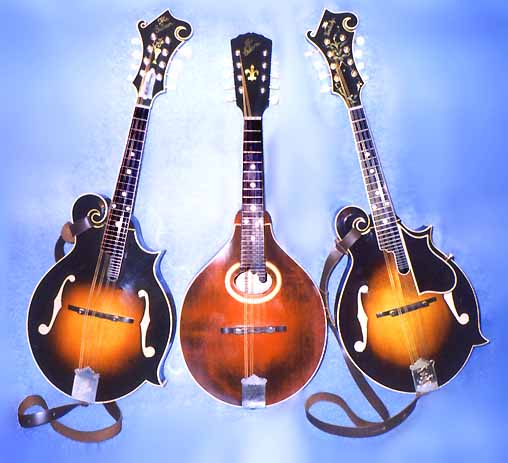 Three Mandolins